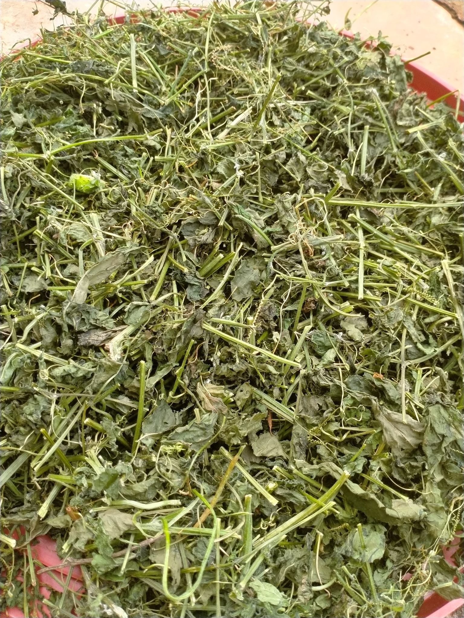 Lá mướp đắng(khổ qua) rừng phơi khô