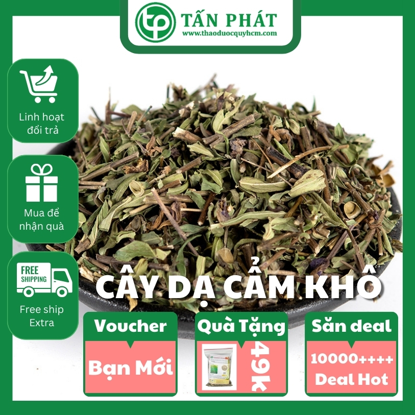 [Hàng mới về] Cây dạ cẩm khô 1kg - tấn phát - Hỗ trợ thanh nhiệt và giải độ.c cực kỳ hiệu quả