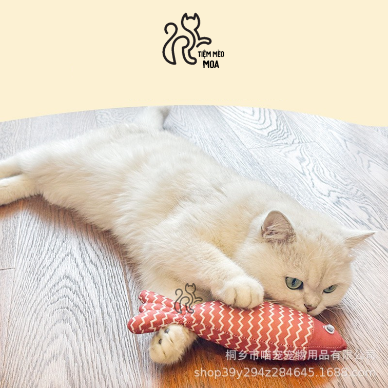 Cá bông có catnip - Đồ chơi cho mèo - Tiệm Mèo Moa
