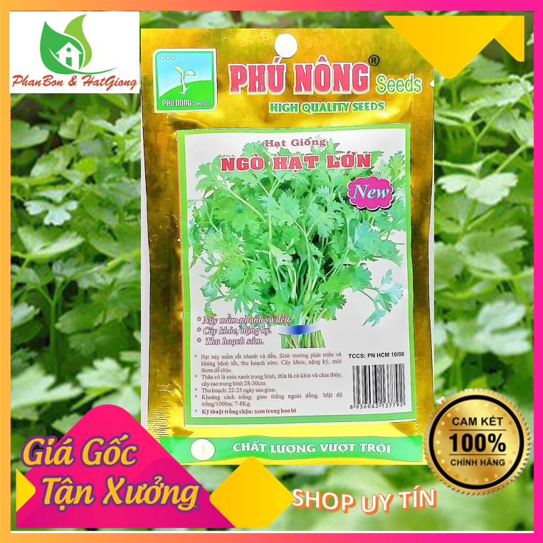 Hạt Giống Rau Ngò Rí Ngò Hạt Lớn 20Gr - Phú Nông Seeds Shop Phân Bón