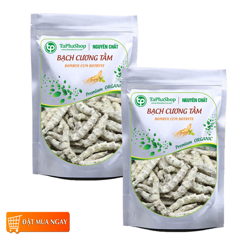 Bạch cương tằm 500g - Thảo Dược Tấn Phát