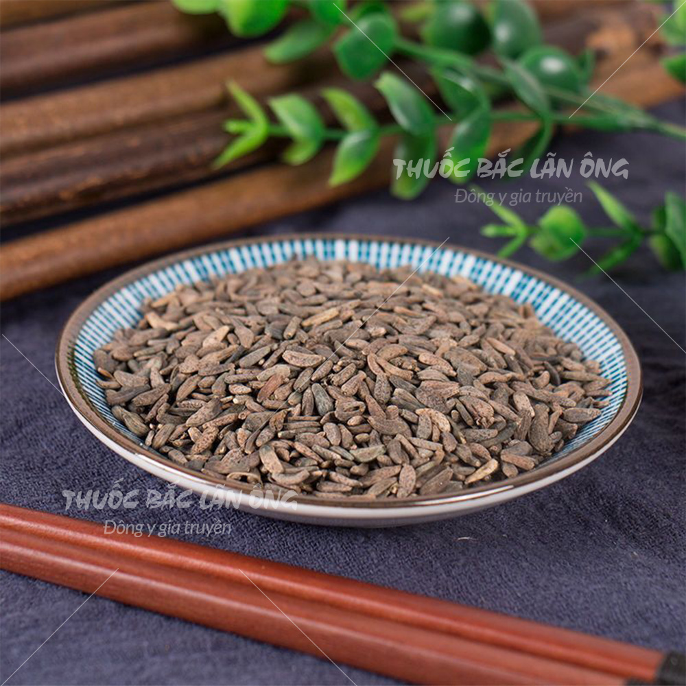 Oxalis 100g