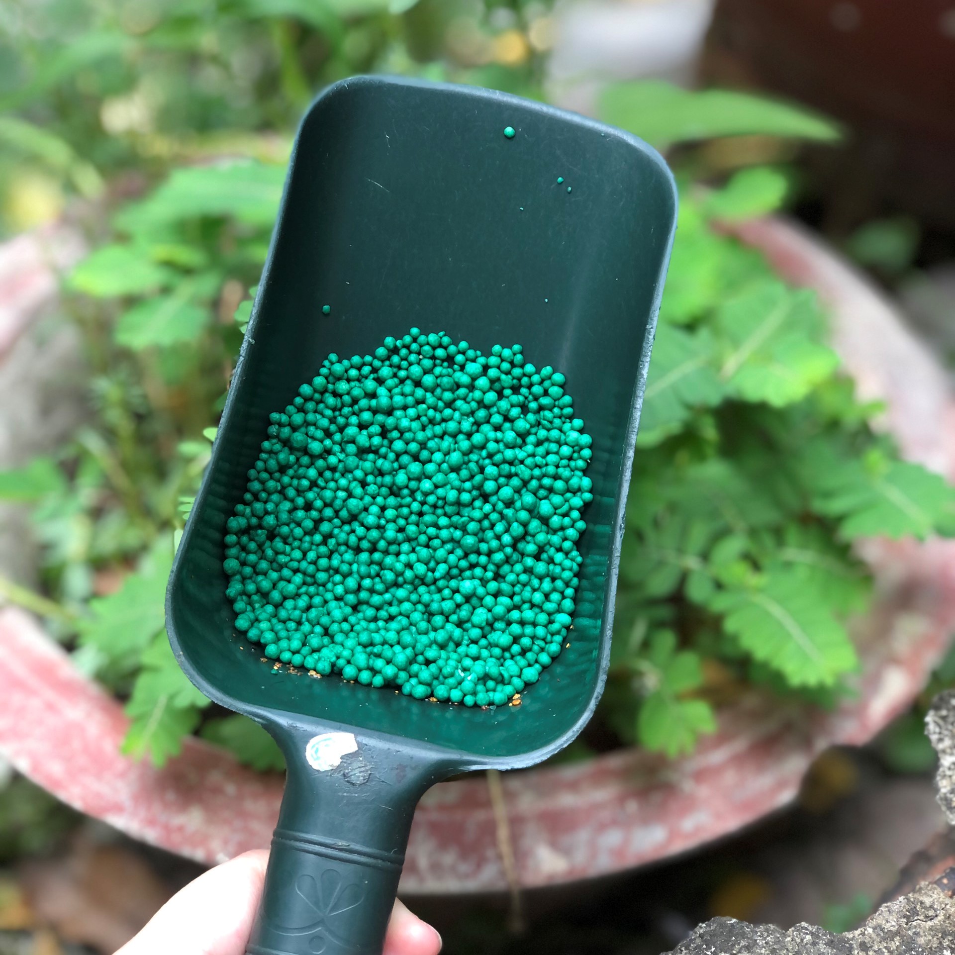 Phân tan Chậm Mỹ PoLyon hạt xanh - 16-6-12 (1kg)