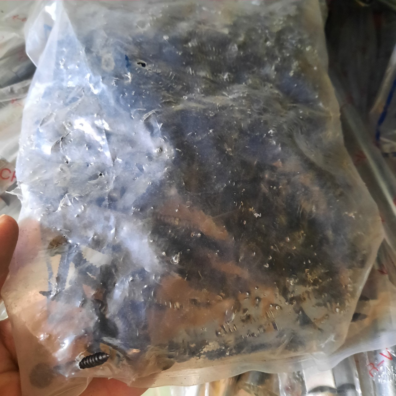 1kg vít gỗ đen, vít thạch cao vít sắc các cỡ