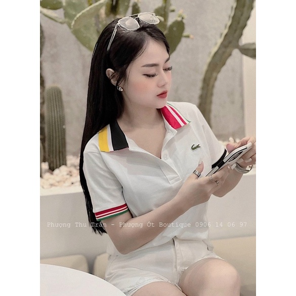 Áo phông polo cổ viền cá sấu
