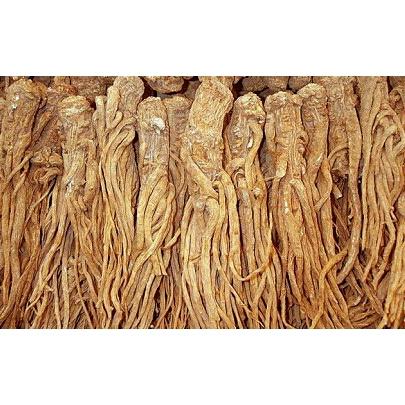 1kg sâm đương quy