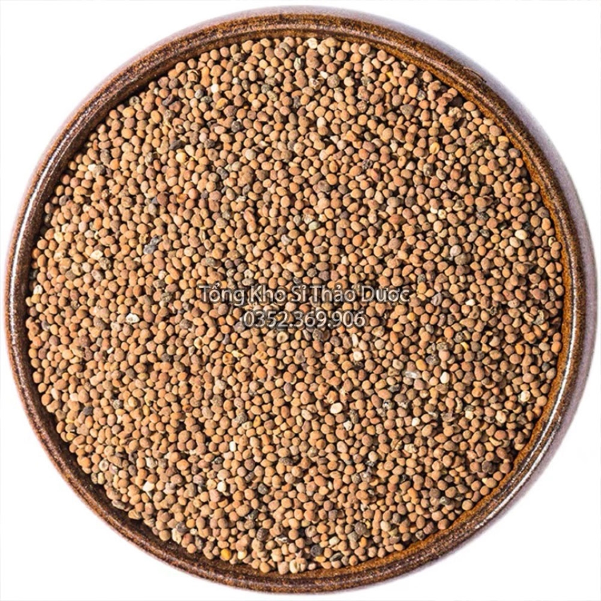 Thỏ Ty Tử 100g (Vàng Đẹp)