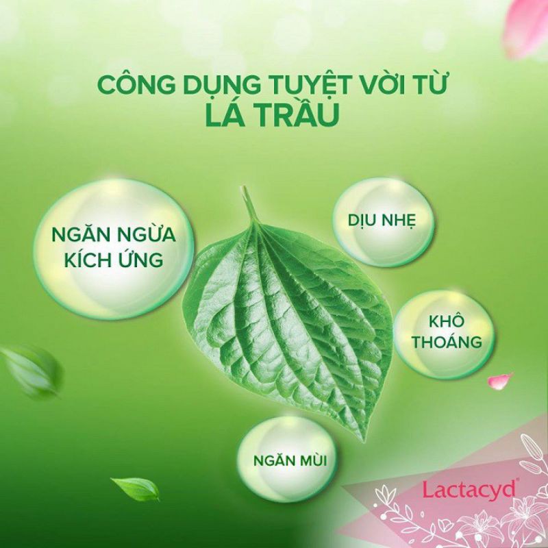 Dung dịch vệ sinh phụ nữ Lactacyd lá trầu không (chai 250ml)