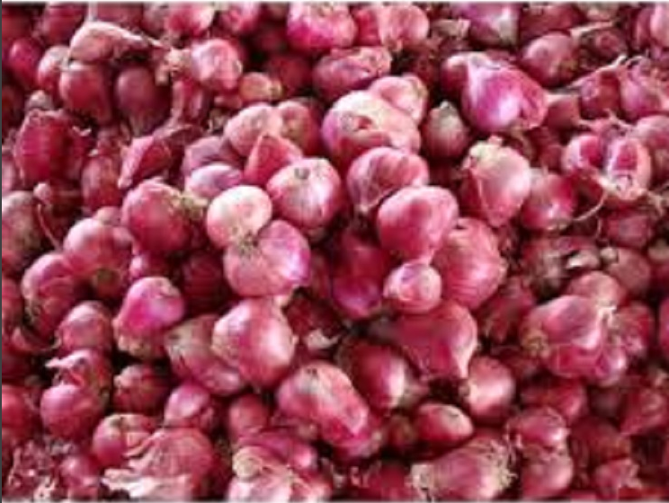 hành tím khô củ to chắc đều