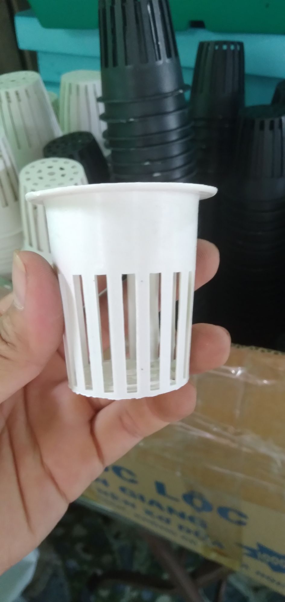 [HCM]Rọ phi 65 chuyên trồng rau thủy canh ( 100 rọ)
