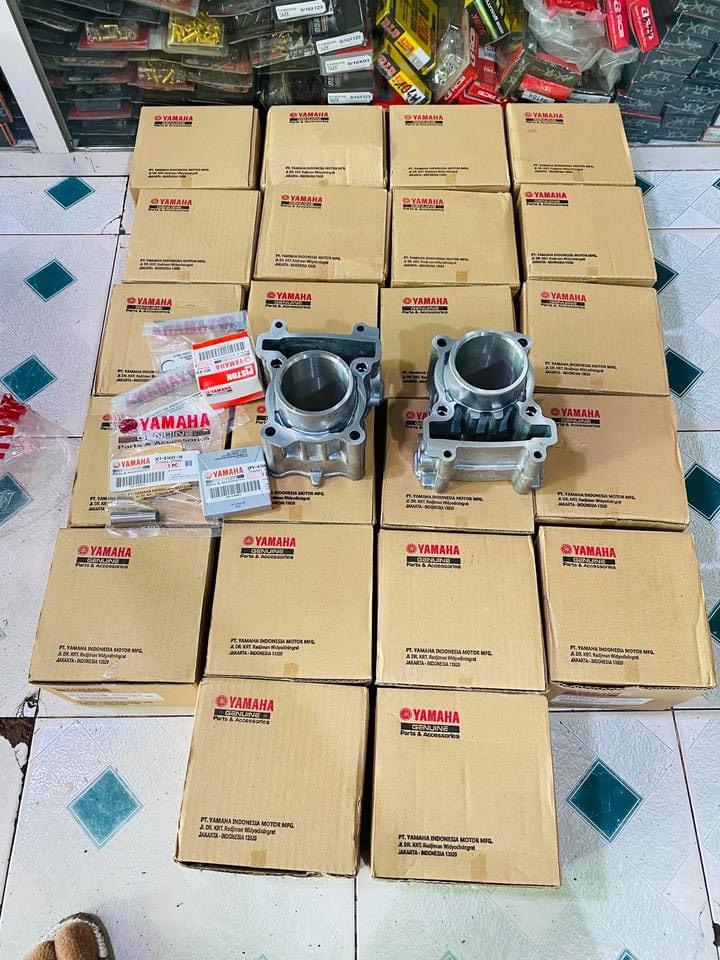 Lòng vision 57 gắn cho ex135 , ex 150