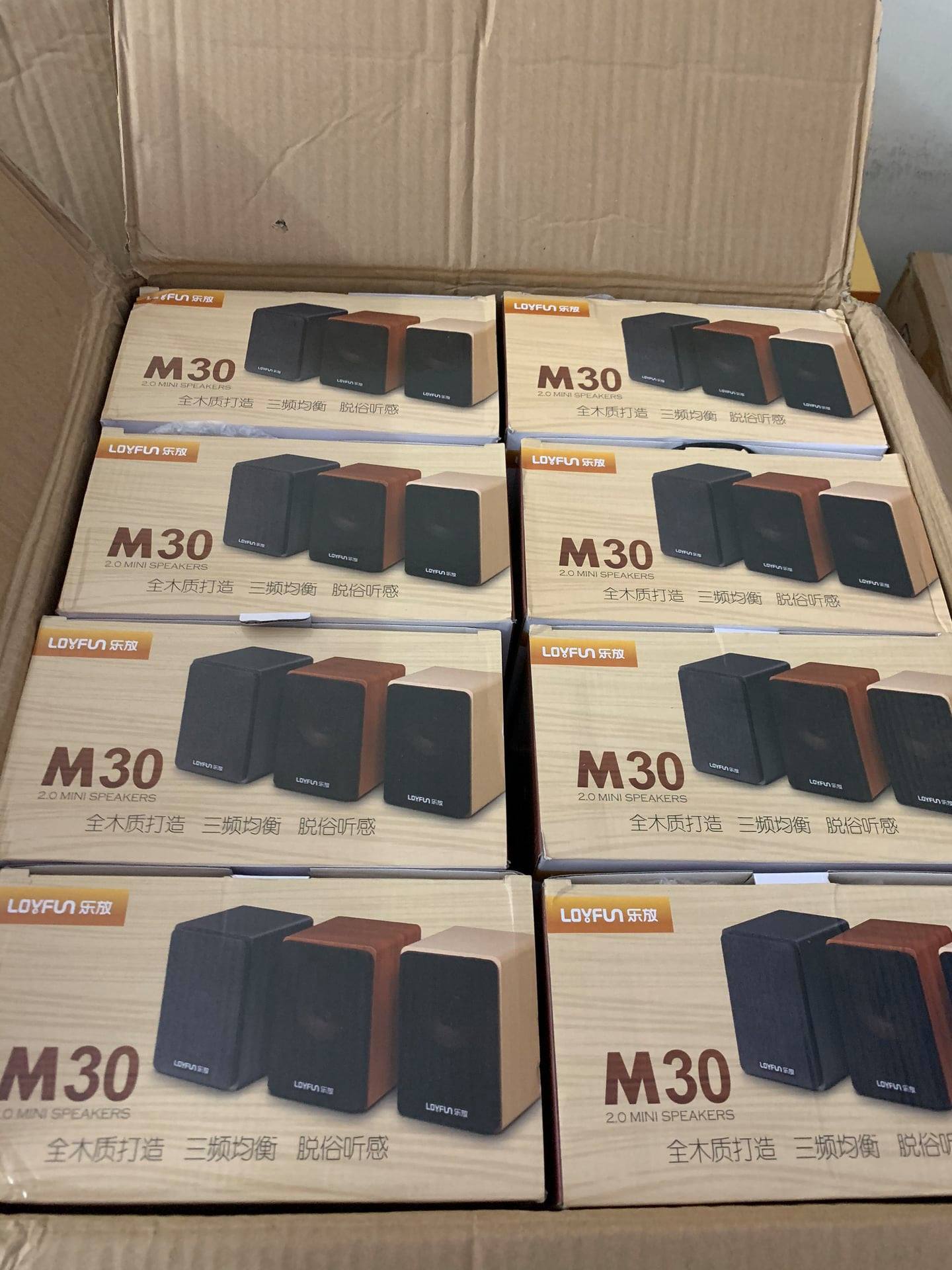 Loa 2.0 Loyfun M30