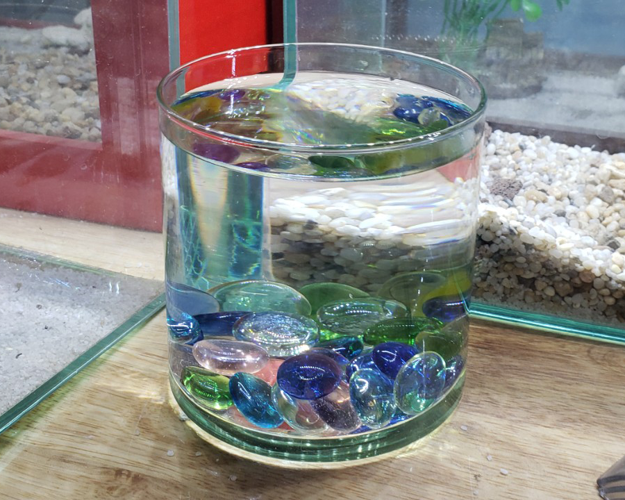 bể cá mini  trụ 10cm