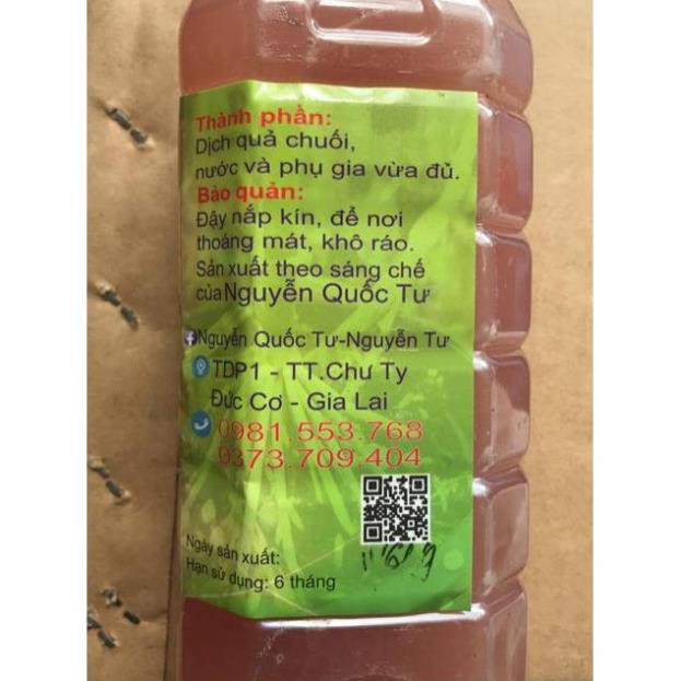 Dịch chuối cho Phong lan 1 lít