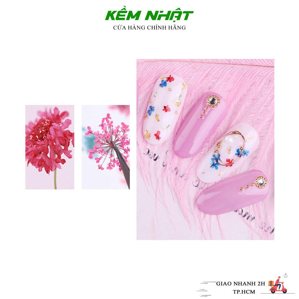 [HCM]Hoa Khô Chùm Ẩn Gel