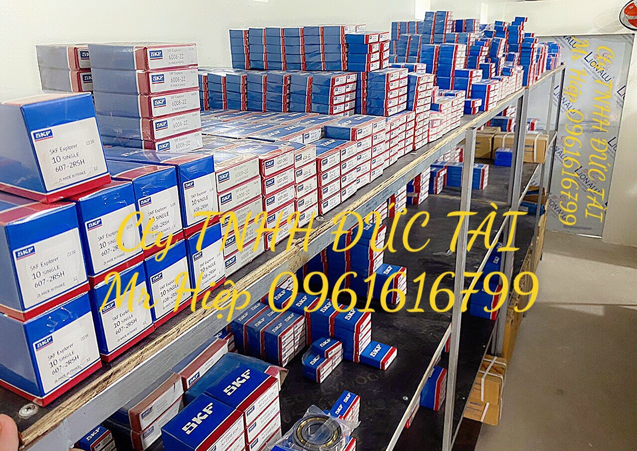Vòng bi bạc đạn 6304 ZZ/RS
