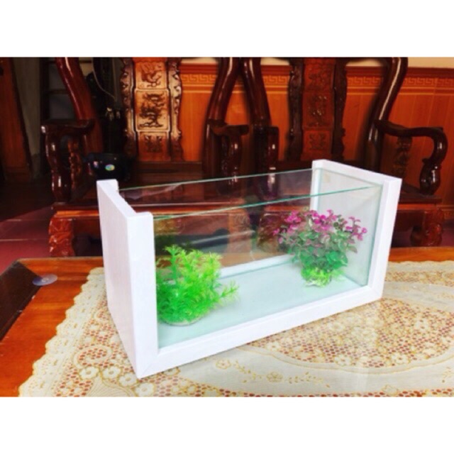 Bể  khung gỗ trắng tinh khôi-Bể cá cảnh -Bể cá mini
