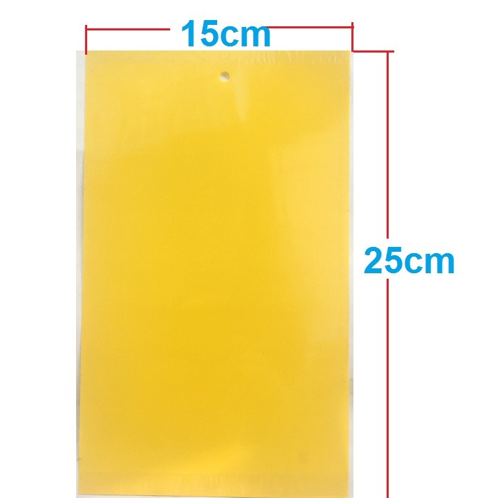 Sét 5 miếng dán bẫy côn trùng, ruồi vàng