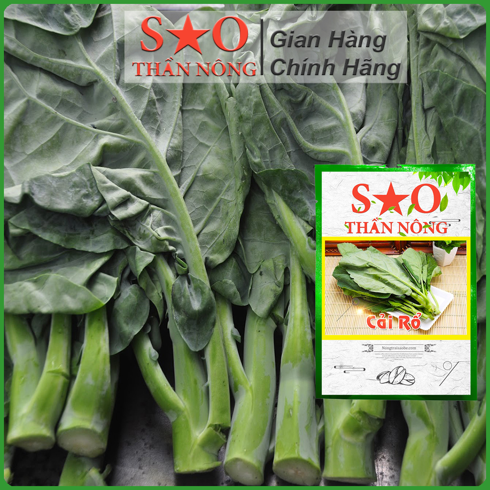 Hạt giống Cải Rổ cao sản -hạt giống rau Sao thần Nông - gói 5g