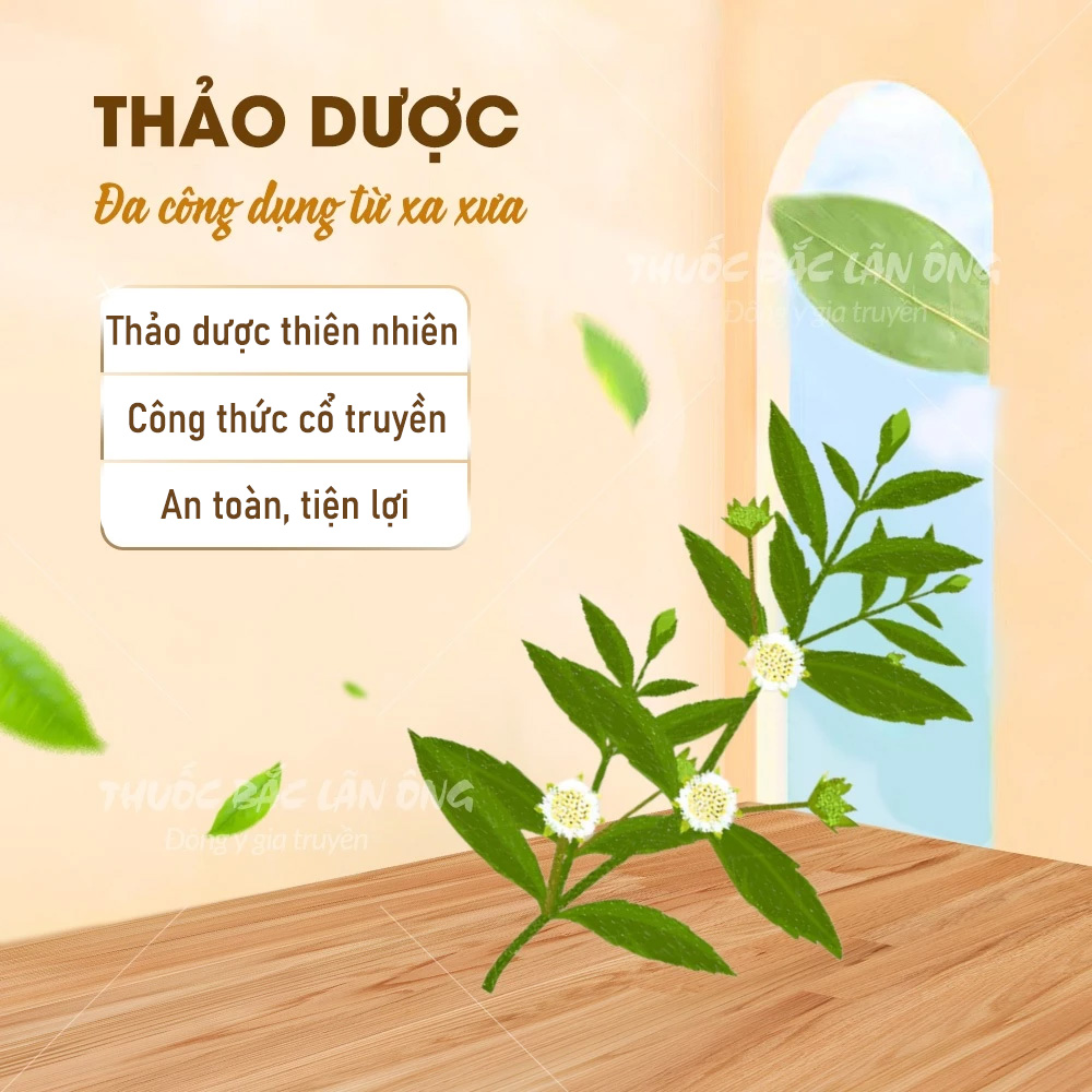 Bột nhọ nồi 100g (Cỏ mực)