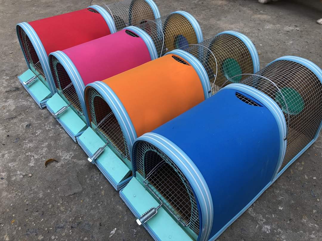 Bẫy chuột tự động 2 ngăn