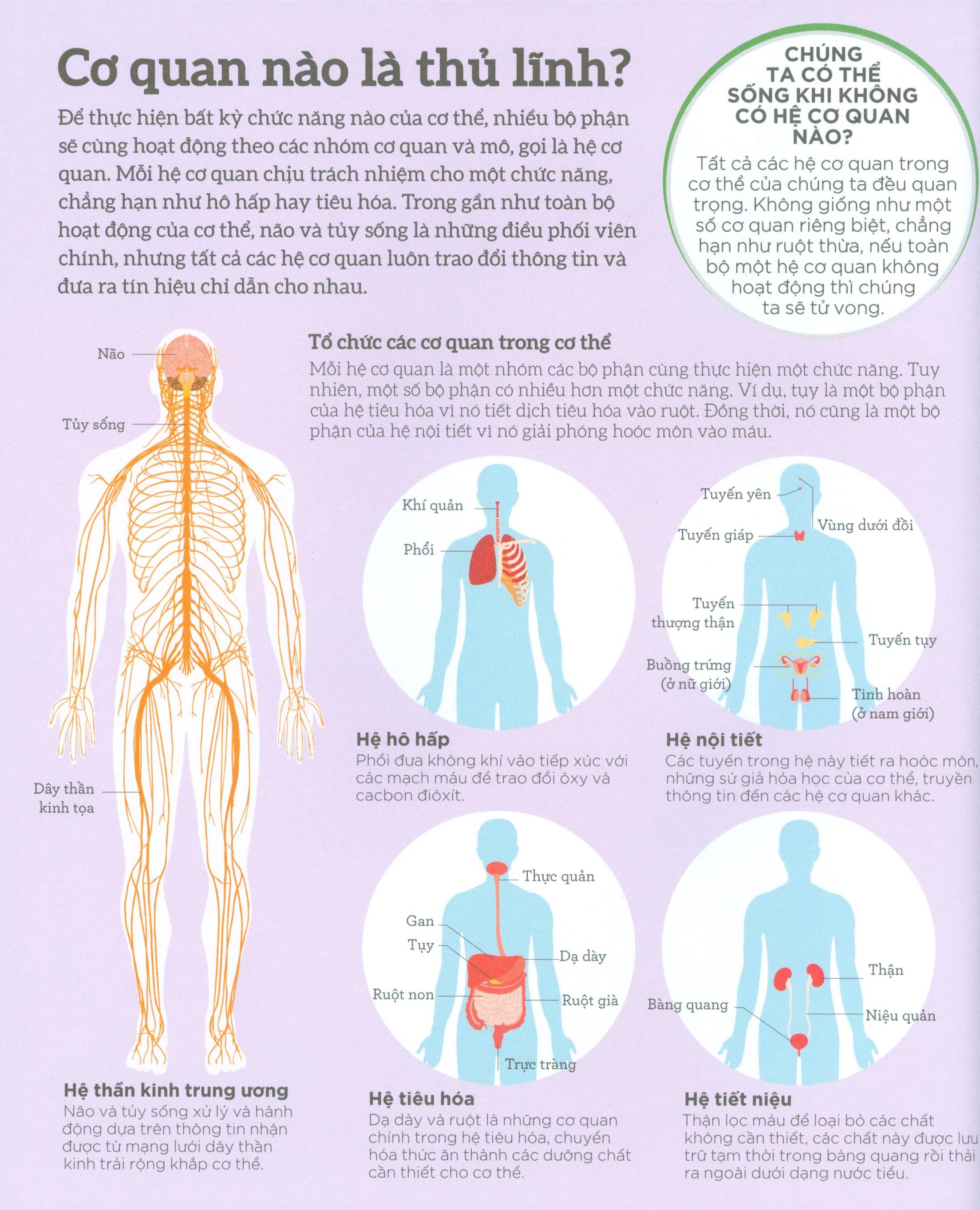 How The Body Works - Hiểu Hết Về Cơ Thể (BC)