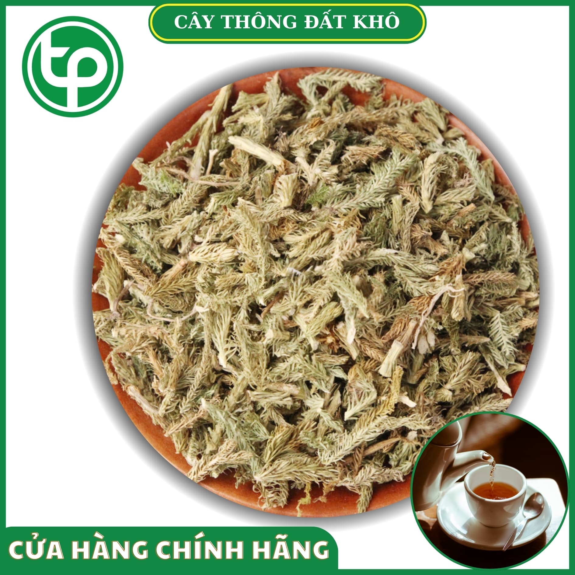 [HOT] Cây thông đất khô 500g - Hàng sạch thơm cao cấp - Thảo Dược Tấn Phát