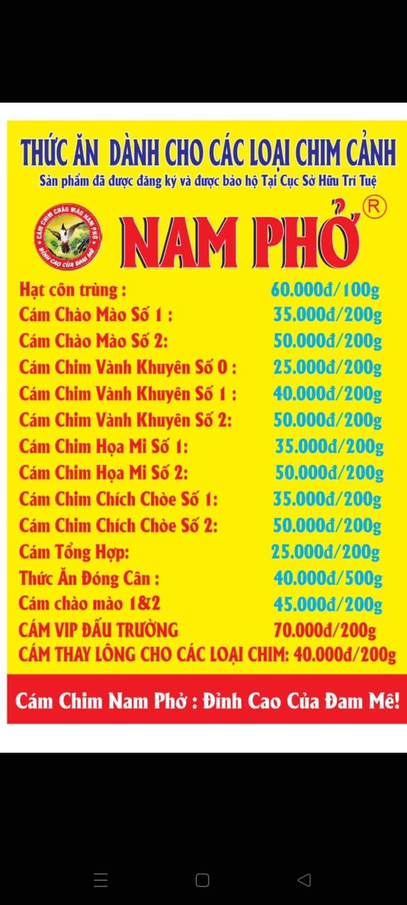 Cám Chim Thay Lông Nam Phở