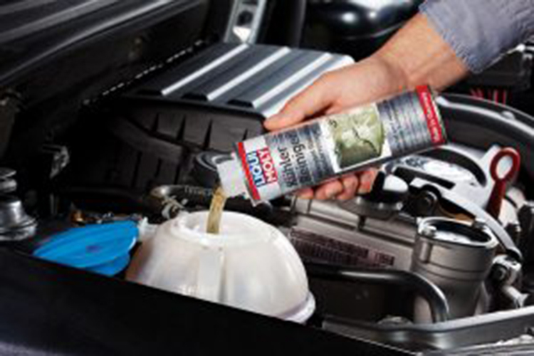 Súc két nước LIQUI MOLY 300ml (dung dịch vệ sinh két nước)