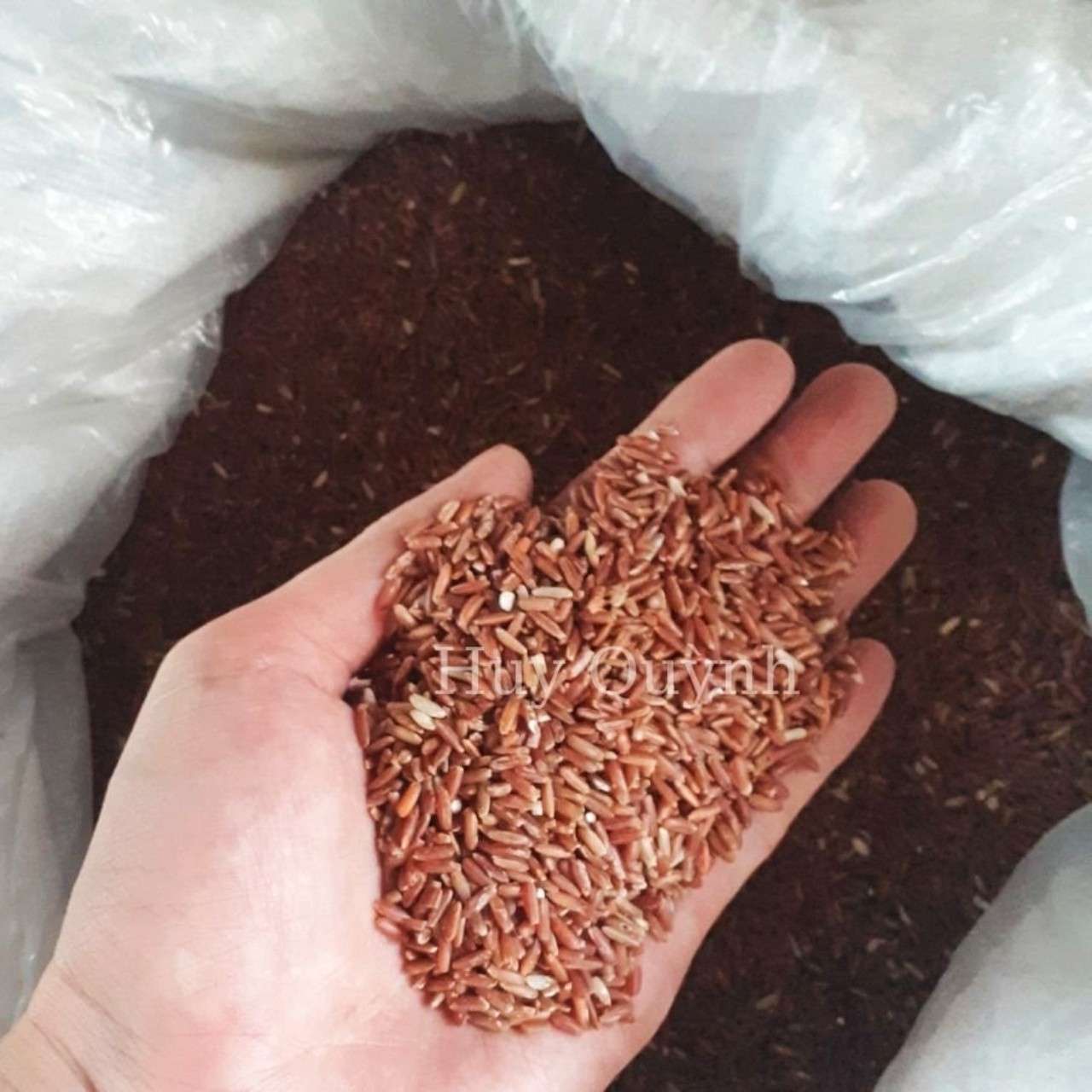 1kg Gạo Lứt Huyết Rồng - Gạo Lứt Ăn Kiêng Mềm, Dễ Ăn Không Chất Bảo Quản