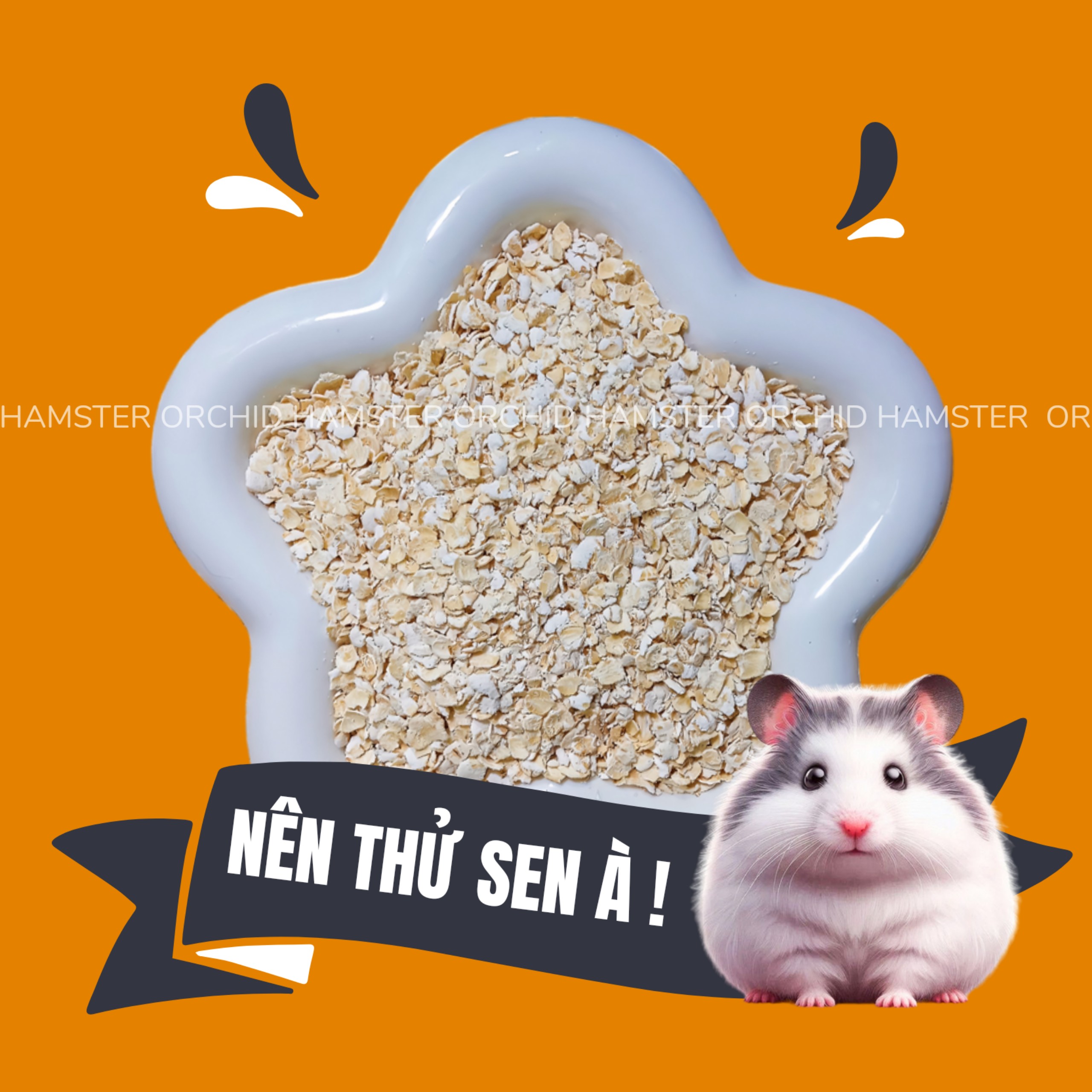 Yến Mạch Cho Hamster Giúp Bé Nhanh Mập Hỗ Trợ Dịnh Dưỡng Cho Thú Cưng