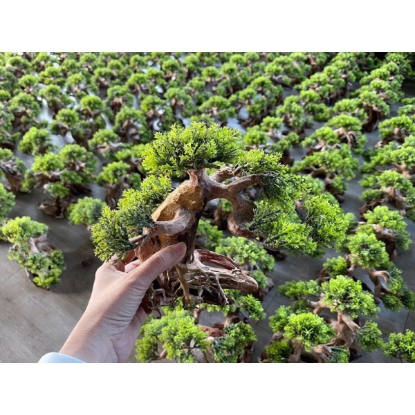 Bonsai Rêu Giả - Bonsai Rêu Nhựa Trang Trí Hồ Cá, Thuỷ Sinh