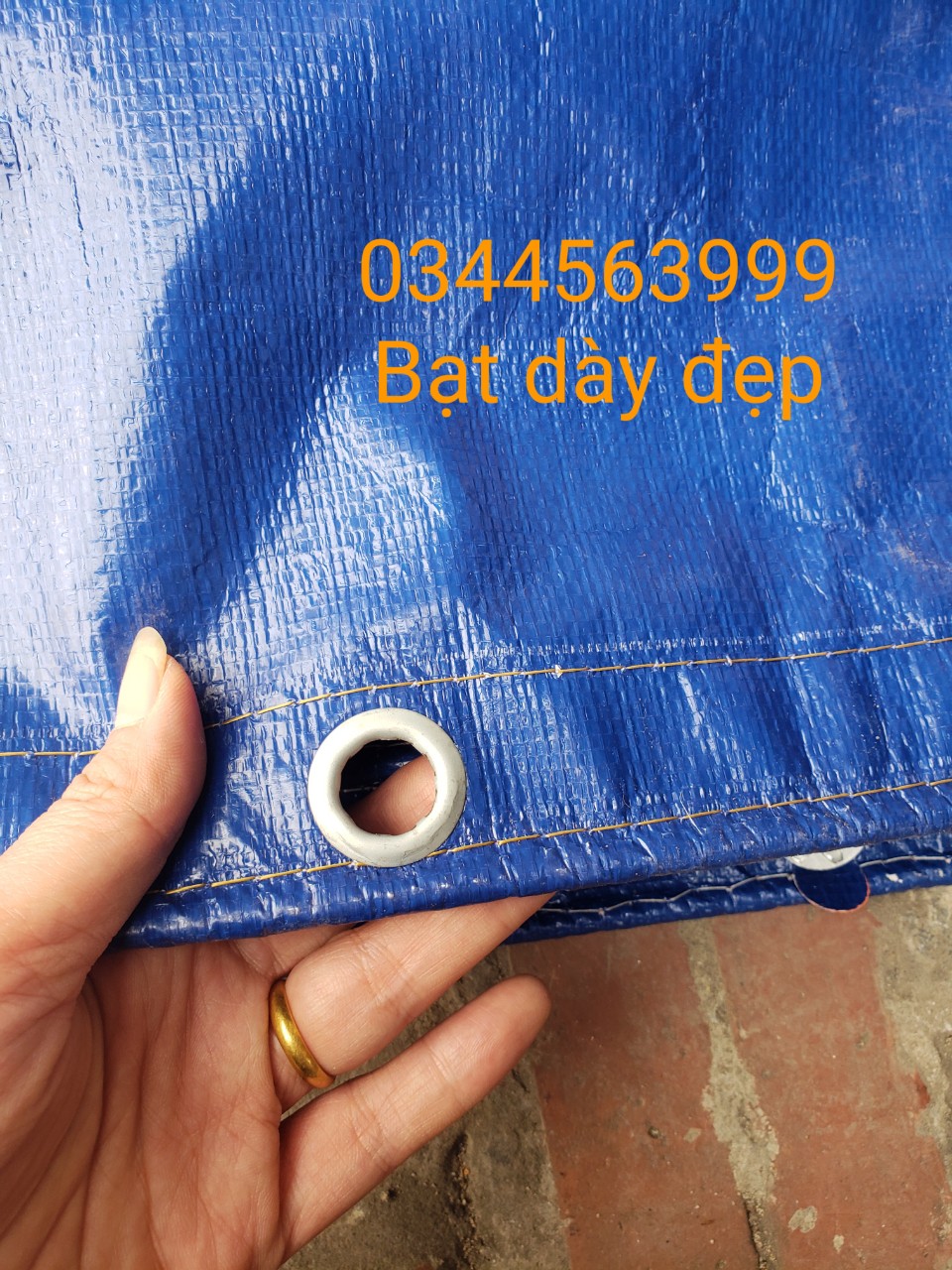bể bạt nuôi cá cảnh , ốc , ếch , lươn