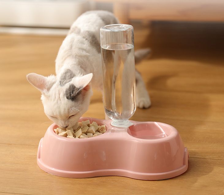 BÁT ĐÔI CẤP NƯỚC TỰ ĐỘNG, ĐỂ THỨC ĂN CHO THÚ CƯNG NHỎ