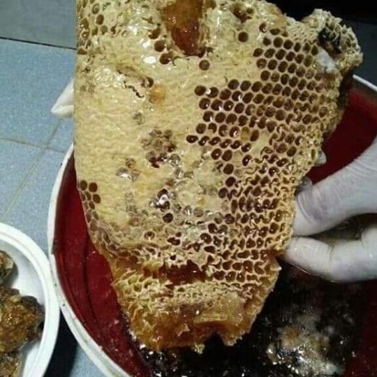 1kg Mật ong nguyên sáp
