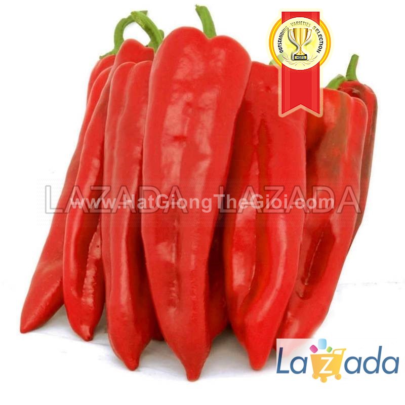 5GR 650.HẠT Hạt Giống Ớt Ngọt Sừng Đỏ 20cm (| C2*W43)