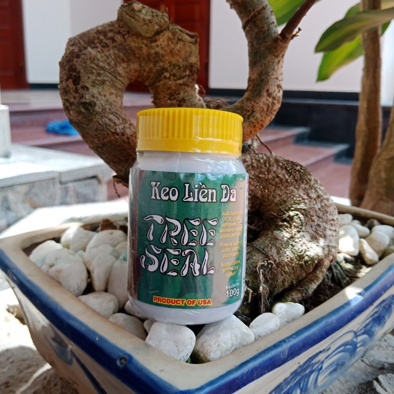 Keo liền sẹo mỹ - Tree Seal 100g