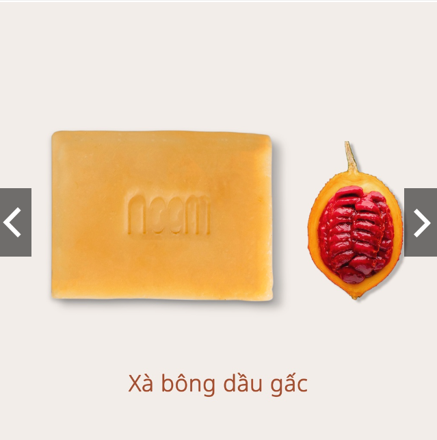 MIX XÀ BÔNG ĐA DỤNG VỊ RAU CỦ NOOM 1KG