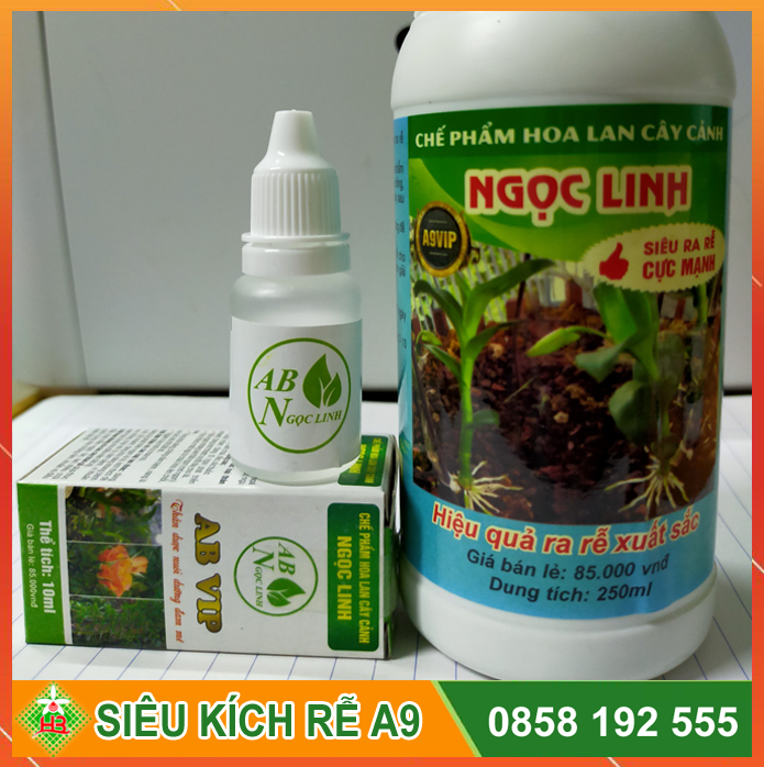 Chế phẩm siêu kích rễ A9 Ngọc Linh