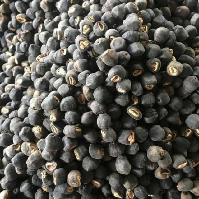 500gr Hạt chuối hột cô đơn - Dùng cho người sỏi thận cực kỳ tốt