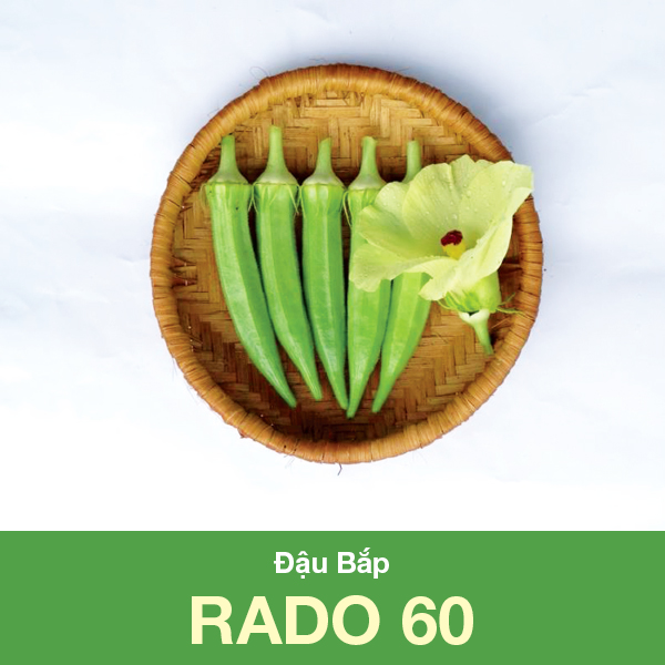 Hạt Giống Đậu Bắp Cao Sản Rado 60