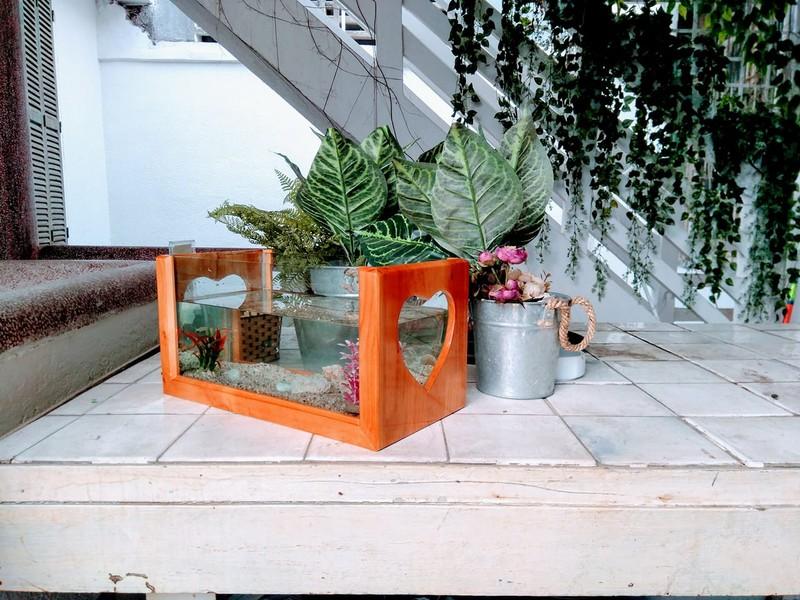 Bể cá kiểng khung gỗ hình trái tim 40cm