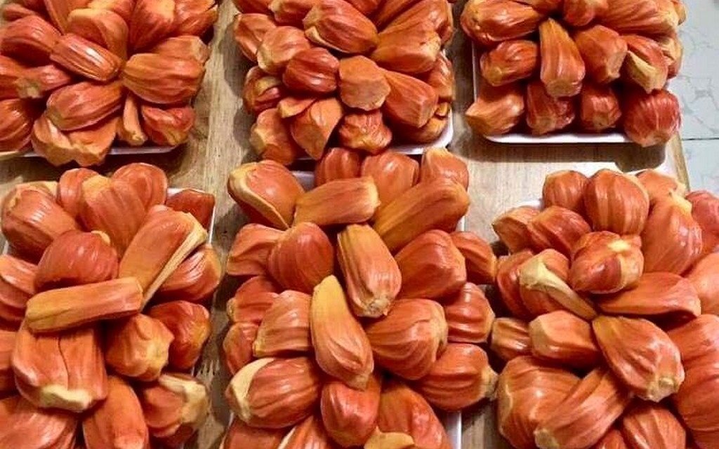 Cây MÍT RUỘT ĐỎ ghép, siêu quả thơm