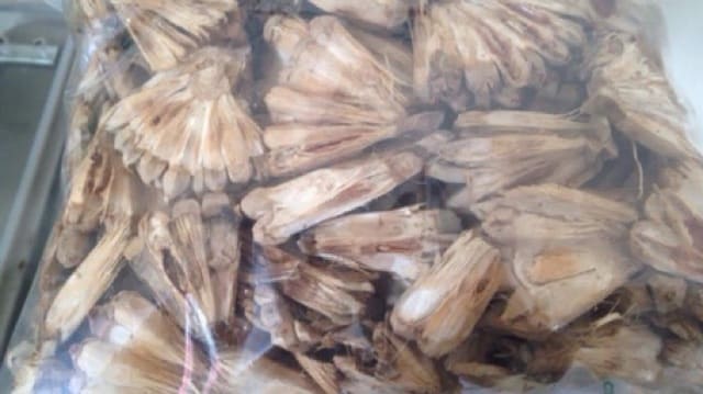 Quả dứa rừng - Quả dứa dại 500g