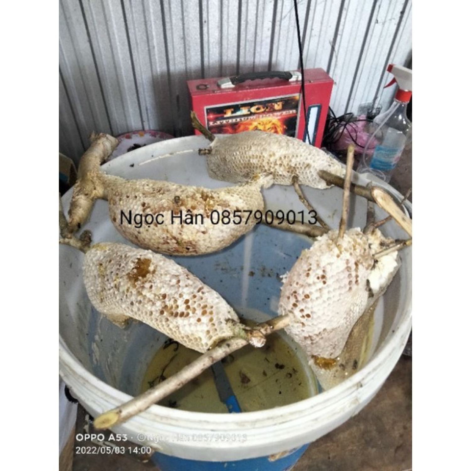 Mật ong ruồi nguyên chất
