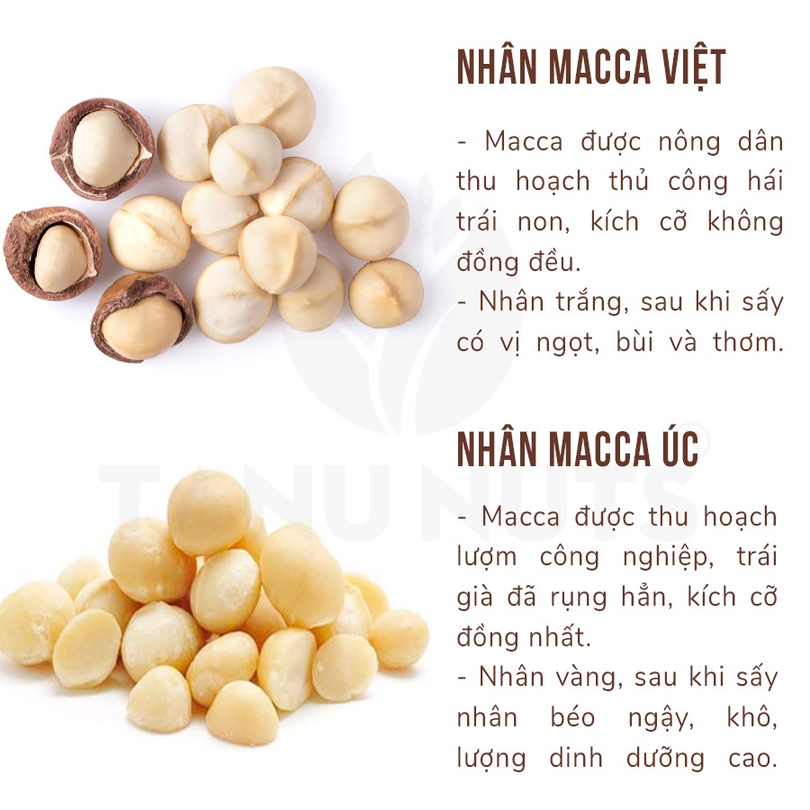 Hạt Macca Úc Tách Vỏ TANU NUTS - Nhân Hạt Macca Úc Đã Rang Sấy
