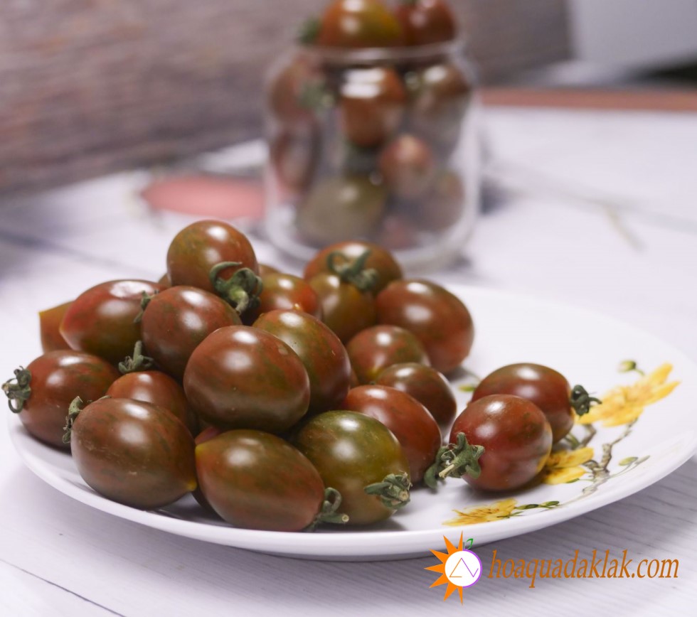 Chocolate Cherry Tomato Seeds - Pack of 30 Seeds