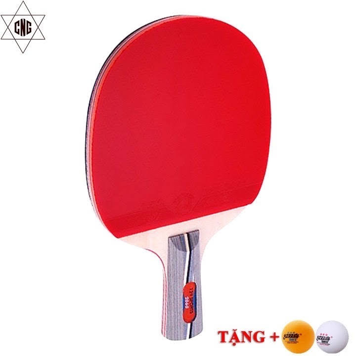 [TẶNG BÓNG] Vợt Bóng Bàn 729 -2040 Cao Cấp