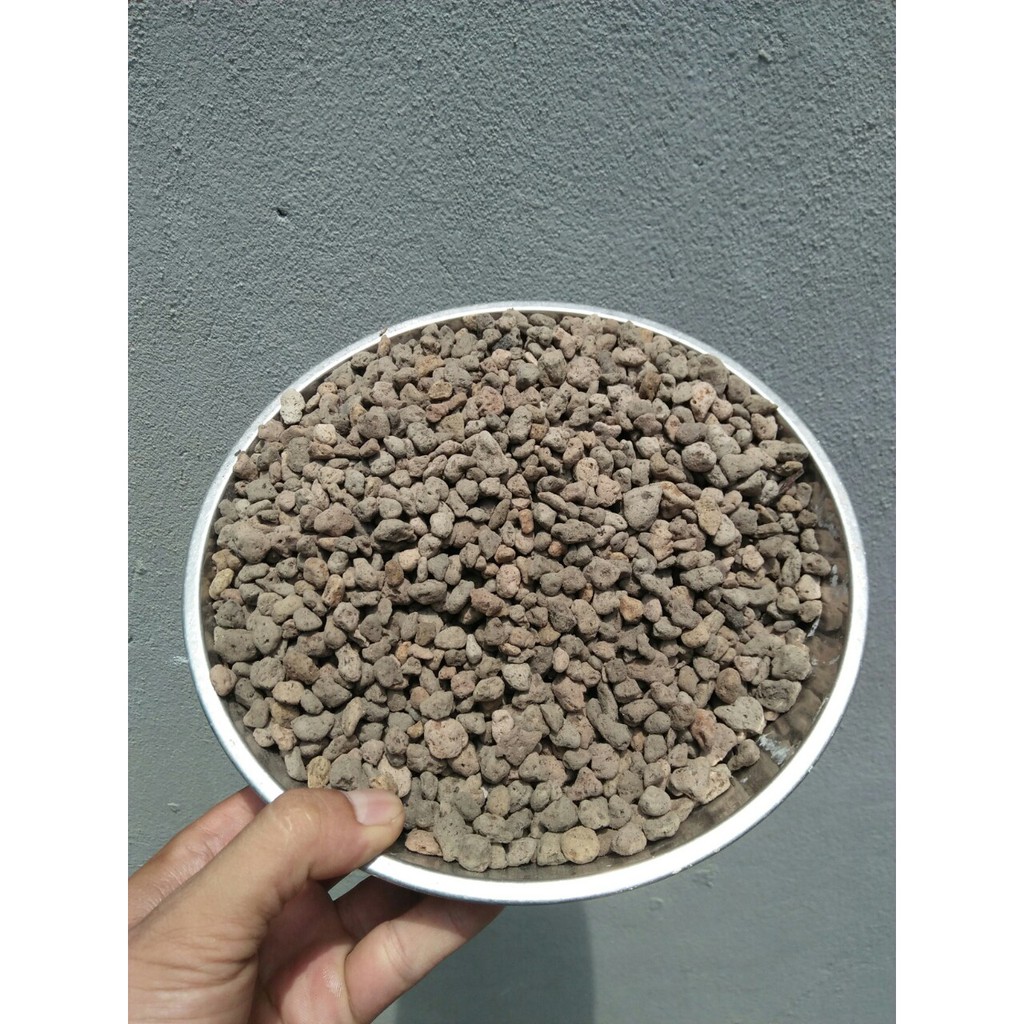 1kg đá núi lửa ( đá bọt) Indonesia Trồng Hoa Lan