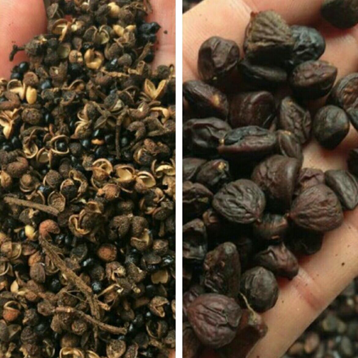 combo 100g dổi nếp rừng và 500g hạt mắc khén